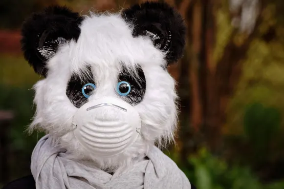 פרונטו קזינו תמיכה